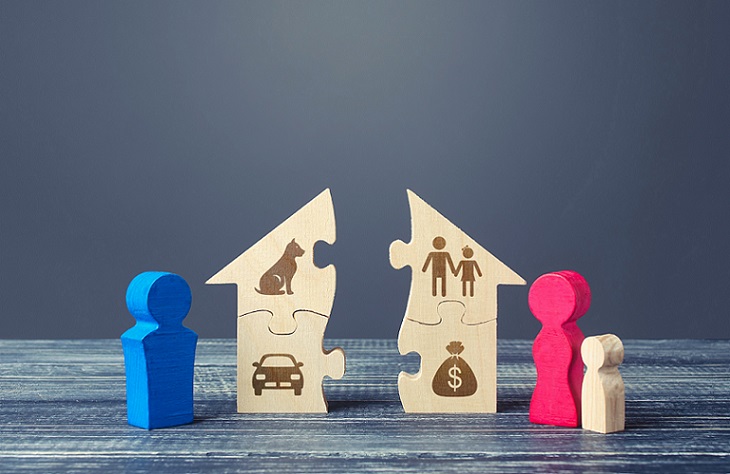 Husband and wife with a child divide a house in a divorce process. Fair marital property division Agreement. Protection interests. Conflict resolution, legal services assistance. rights Infringement.
